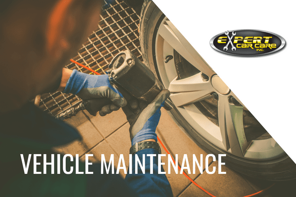 how often should you do car maintenance