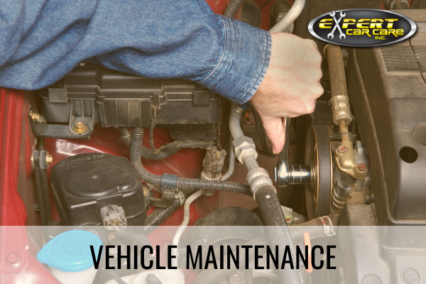 Routine Vehicle Maintenance